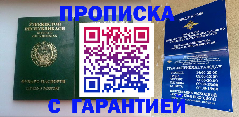 временная регистрация в Курске